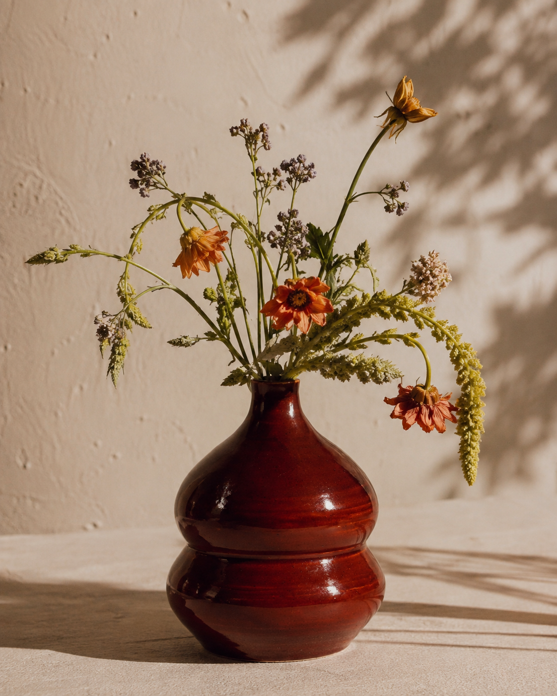 Aster